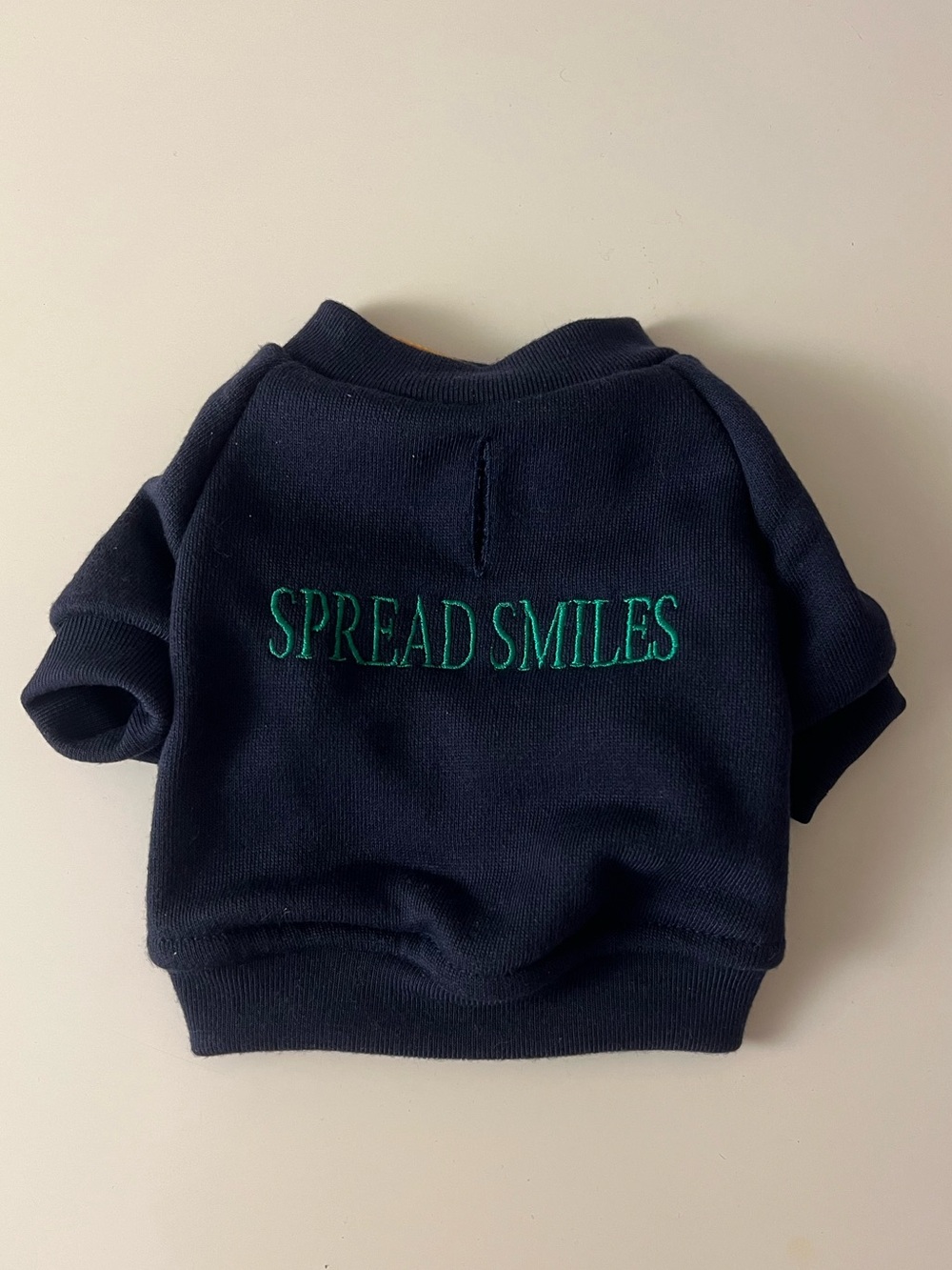 Spread Smiles Embroidered Navy Sweatshirt